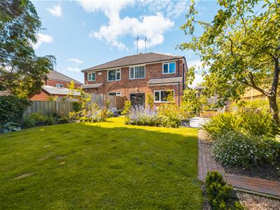 Picture 36